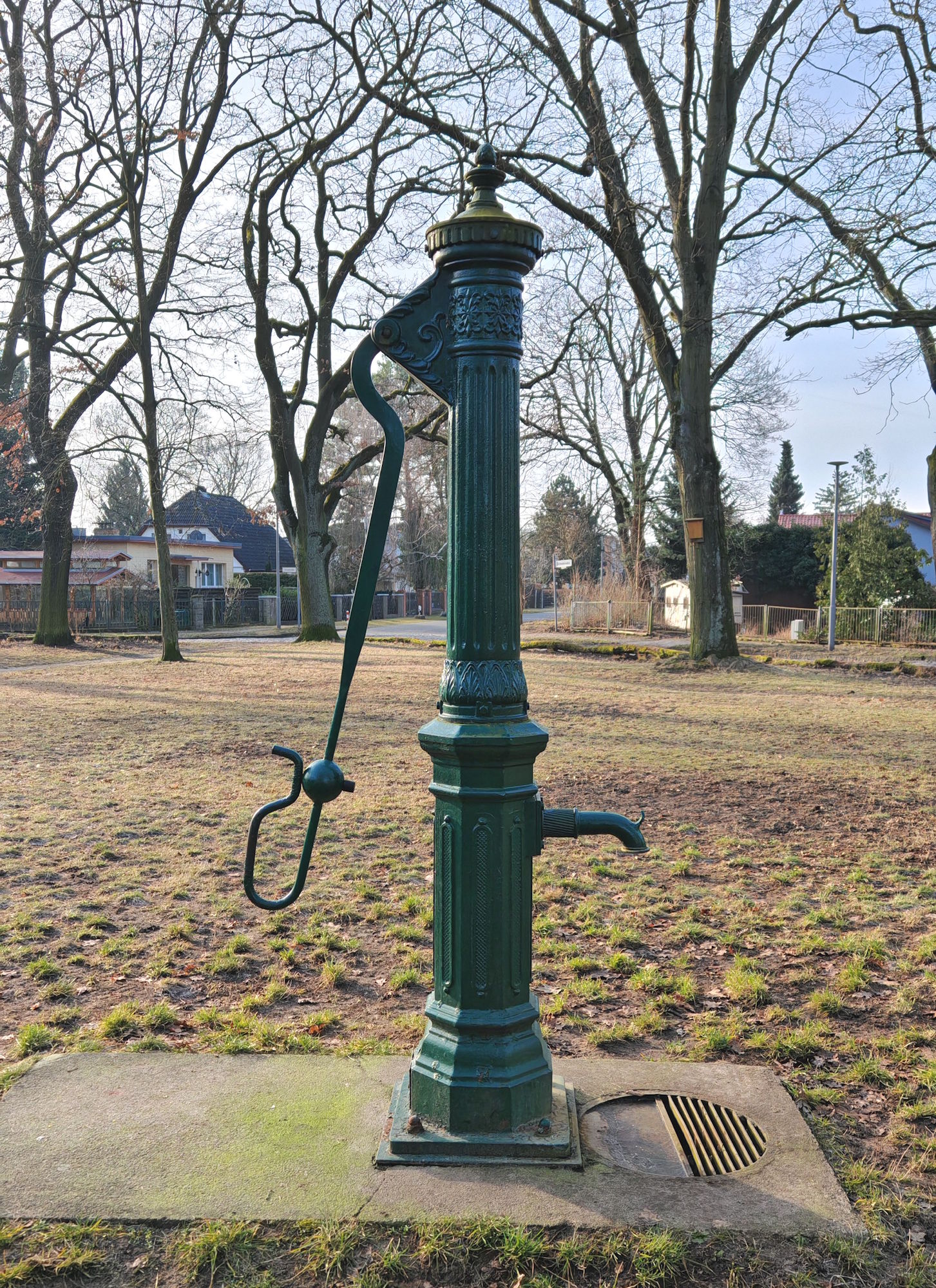 Krause